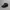 Topi snapback baby doll big logo photo 3