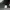 Topi snapback baby doll big logo photo 7