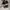 Vans sk8 low pro skate  photo 5