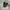 Vans trujilo advanced prototype tripleblack photo 1