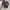 Vans trujilo advanced prototype tripleblack photo 5