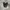 Vans trujilo advanced prototype tripleblack photo 2