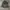 Denim Jackets Leather Vtg photo 1