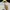 Kodak Vintage Streetwear T-shirt Pria white photo 3