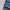 Uniqlo Selvedge Denim
