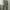 Tommy Jeans Men's TJ1987 Modern Tapered Cream Chinos 34 photo 3