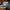 Vans Knu Skool Navy White photo 1