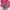 One Set Kebaya Pink Kutu Baru | Rok Lilit Batik Songket
