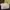 Guess Izzy Convertible Crossbody Flap  photo 1