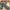ʀᴇᴅ ᴡɪɴɢ 3229 (PetroKing LT Men's 8 Inch Boot) photo 5