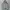 Dickies Streetwear Hoody Pria gray photo 1