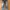 levis 501 selvedge size 29 photo 1