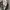 Y2K Vintage 90s Distressed Dickies Carpenters Grey workpants photo 9