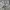 US Army Combat Uniform Nato military photo 3