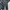Studio Dartisan SD-101 15oz Straight Selvedge Denim  photo 3