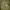 Fieldcore Sportswear Windbreaker Pria khaki photo 8