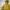 Fieldcore Sportswear Windbreaker Pria khaki photo 4