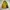 Fieldcore Sportswear Windbreaker Pria khaki photo 5