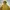 Fieldcore Sportswear Windbreaker Pria khaki photo 2