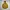 Fieldcore Sportswear Windbreaker Pria khaki photo 1