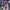 topi seken mlb nhl baseball tf only photo 1