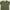 prelov crop top colorbox  photo 1