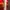 Red Queen- Victoria Aveyard(English)  photo 3