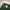 Sportswear Casual Windbreaker Pria green photo 2