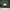 Sportswear Casual Windbreaker Pria green photo 8