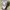 Vintage Mercedes-Benz F1 Racing Cap photo 2