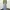 Unknown baggy light blue jeans photo 4