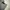 Polo Ralph Lauren Sportswear Casual Polo shirt Pria gray photo 3