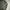 Polo Ralph Lauren Sportswear Casual Polo shirt Pria gray photo 8