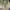 Long dress broke white photo 1
