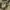 Camouflage Utility Jacket photo 6