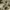 Camouflage Utility Jacket photo 7