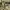 Camouflage Utility Jacket photo 8