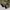 Camouflage Utility Jacket photo 4