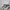 Nike Vintage Streetwear Sneakers Pria white red photo 2