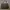 Paul's Boutique London Handbag Hitam
