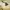 346 Brooks Brothers Khaki Chino Pants photo 6