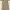 Midi Dress Wanita / Dress Kerah Putih / Korean Style Dress /