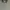 Yves Saint Laurent YSL Luxury Polo shirt Pria multicolor green photo 3