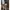 Cardigan Floral Long Sleeves Multicolour Embroidery photo 4