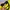 Jersey Club Borrusia Dortmund Colour Yellow (Evonik)