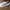ASICS GEL KAYANO 30 White Gold photo 2