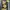 ASK Enquired Rare Vintage Disney Mickey Mouse Gold Graphic photo 4