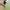 Seanjhon art p didy jorts jeans photo 5