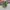 Nike Air Max Triax 96 SP Camo  photo 1