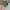 Nike Air Max Triax 96 SP Camo  photo 2